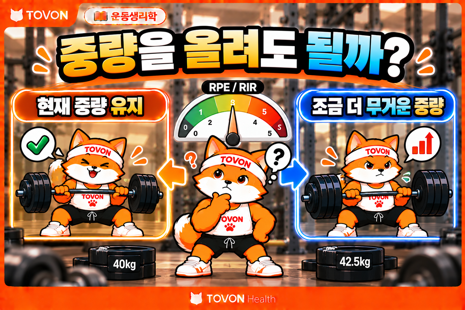 운동 중량을 언제 올려야 하는지 RPE와 RIR로 판단하는 방법을 보여주는 운동생리학 인포그래픽