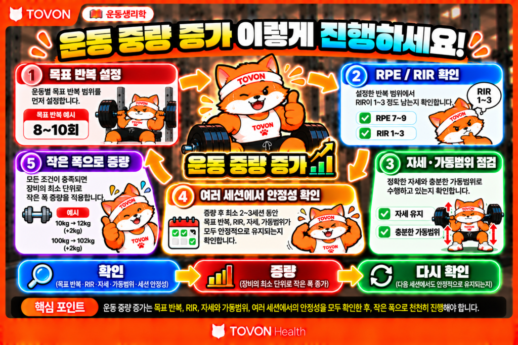 운동 중량은 언제 올려야 할까? RPE와 RIR로 조절하는 방법 운동 중량 증가 여부를 판단하는 목표 반복, RPE와 RIR, 자세와 가동범위, 세션 안정성, 증량 폭을 요약한 인포그래픽